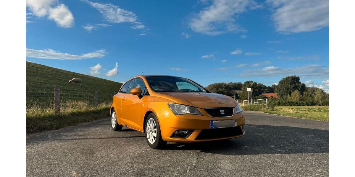 Seat Ibiza 165.000 km 4.900 &euro; Kollmar 25377