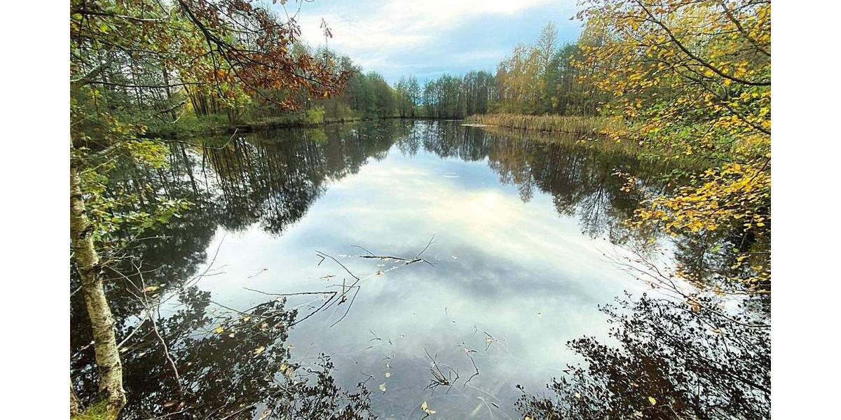 Grundstück Bad Weißenstadt am See Weißenstadt - 49.000&euro; | Angebot:25157031