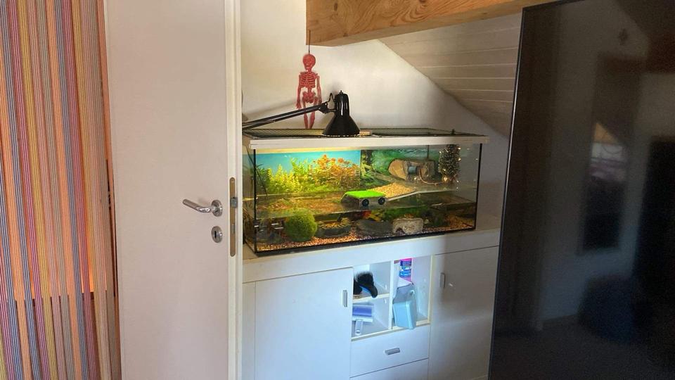 Reihenhaus Isny im Allgäu - 5 Zimmer, 100 m&sup2;, 1.500&euro; | Angebot:25105756