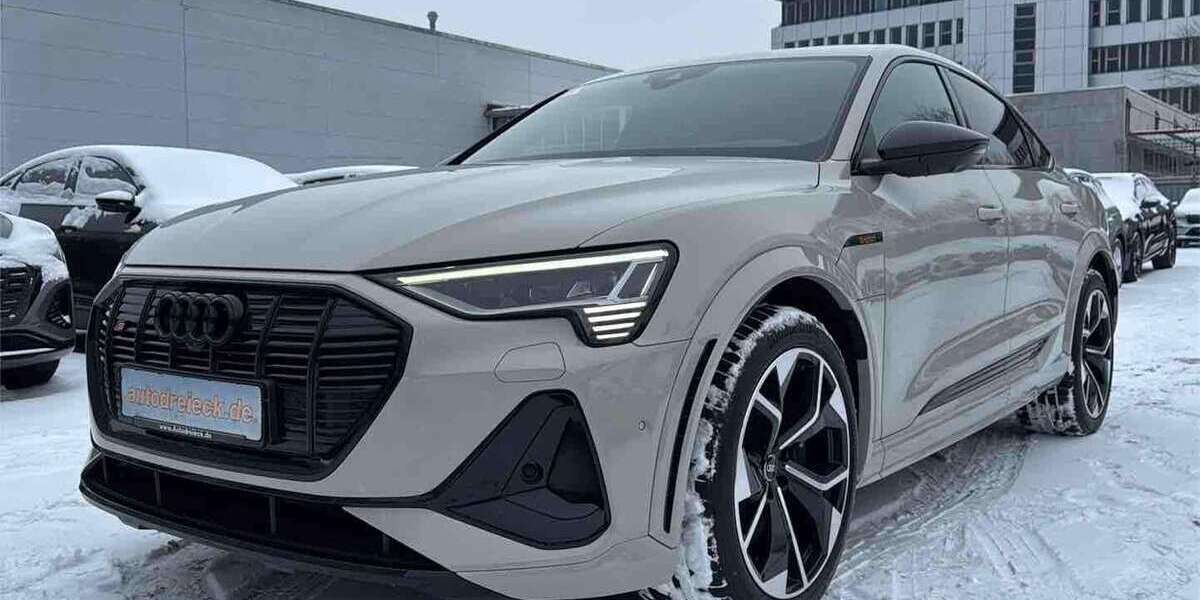 Audi e-tron 42.829 km 41.950 &euro; Hamburg 22047