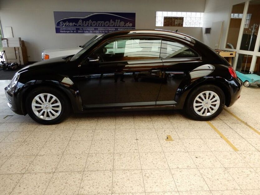 Beetle