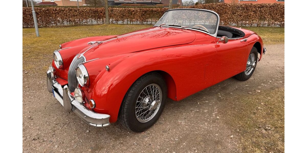 Jaguar XK 14.105 km 139.000 &euro; Blender 27337