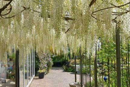 Grüne Oase mit toller Infrastruktur 7 zimmer