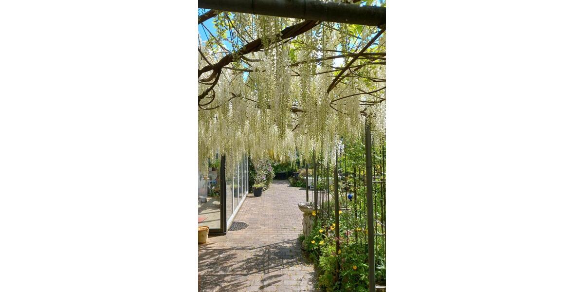 Grüne Oase mit toller Infrastruktur 7 zimmer