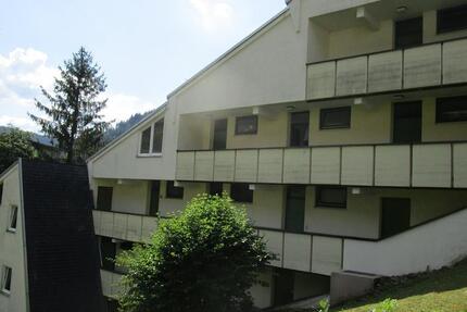 Vermietung: Einzimmer Wohnung in Bad Wildbad zimmer