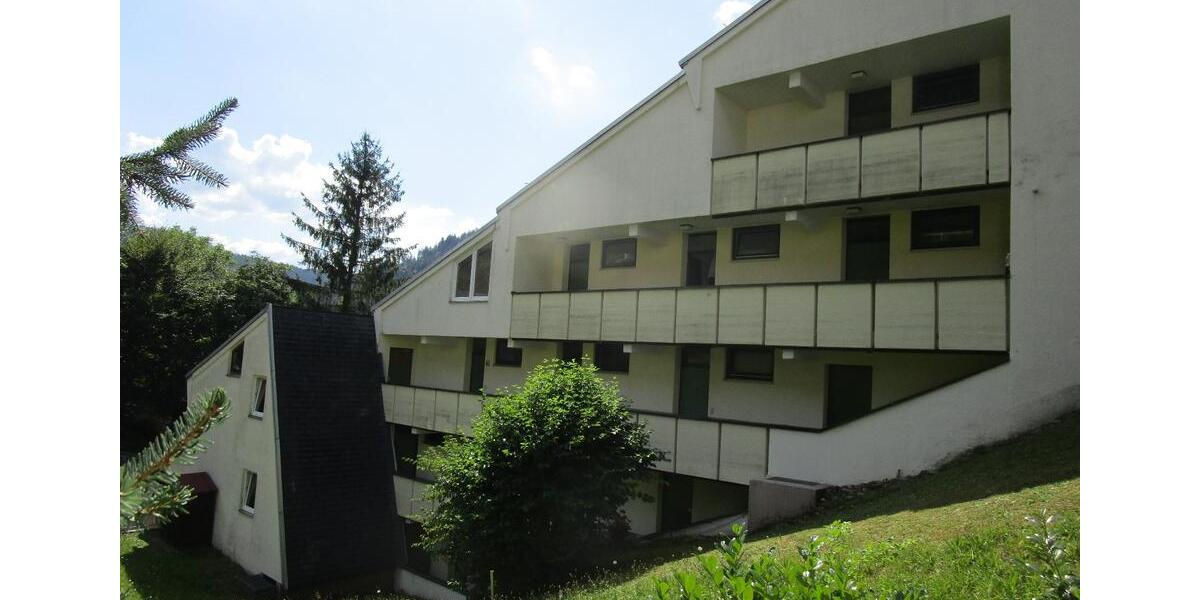 Vermietung: Einzimmer Wohnung in Bad Wildbad zimmer
