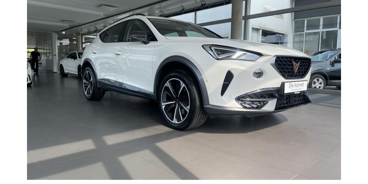 Cupra Formentor 85.950 km 23.980 &euro; Rheinfelden (Baden) (Rheinfelden) 79618