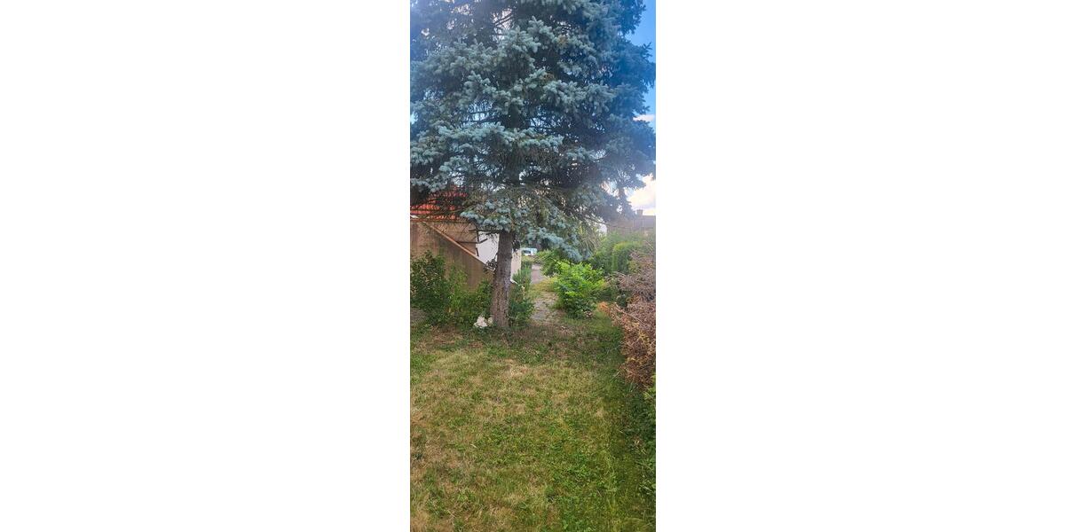 Bungalow Battweiler - 3 Zimmer, 120 m&sup2;, 280.000&euro; | Angebot:26929452