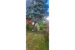 Bungalow Battweiler - 3 Zimmer, 120 m&sup2;, 280.000&euro; | Angebot:26929452
