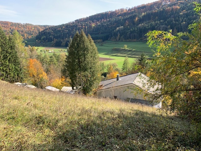 Anwesen mit 3.096 m² Grundstück - Verkauf an privilegierte Landwirte für privilegierte Vorhaben 4 zimmer