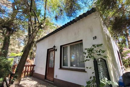 Haus Märkische Heide - 3 Zimmer, 36 m&sup2;, 29.501&euro; | Angebot:27132675
