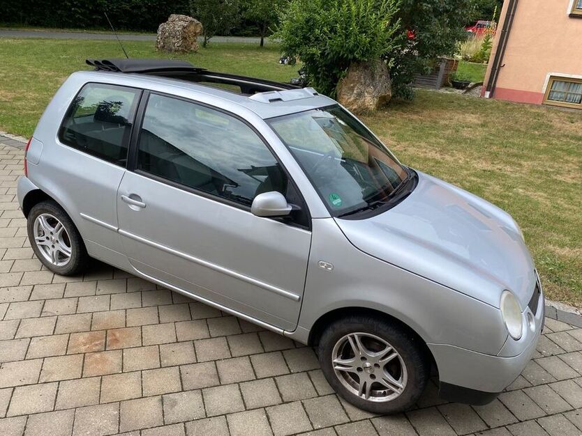 Lupo