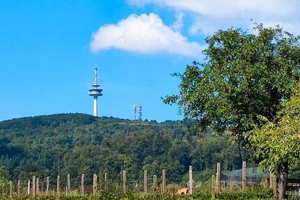 Haus Höxter - 10 Zimmer, 230 m&sup2;, 180.000&euro; | Angebot:27292288