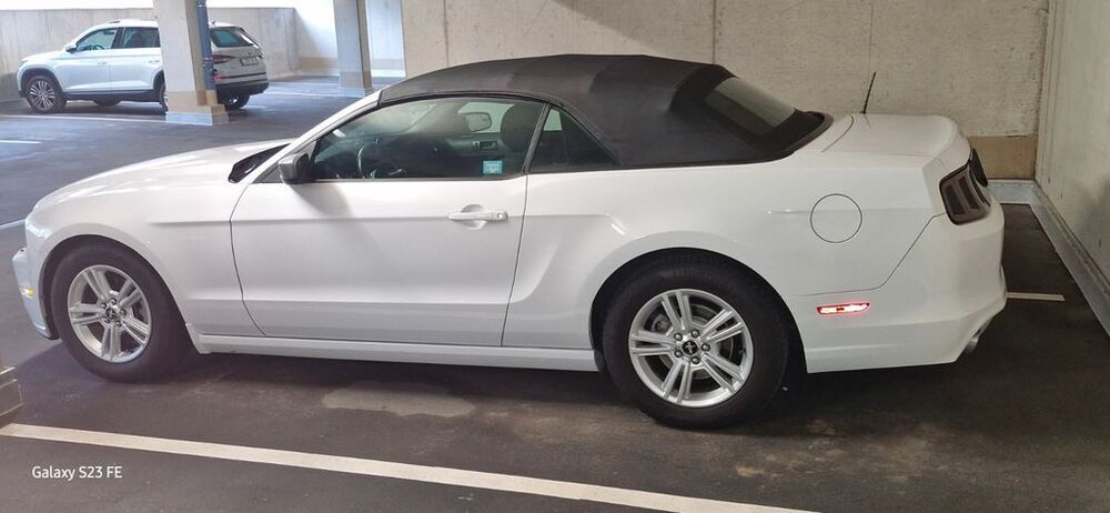Mustang