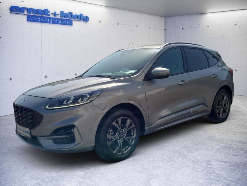 Kuga