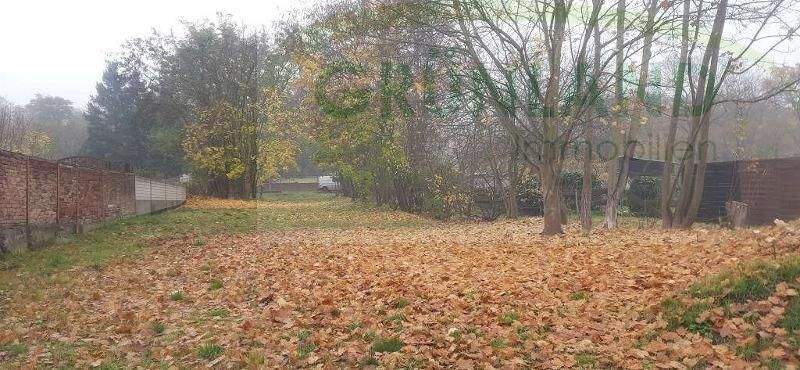 Mehrfamilienhaus, Wohnhaus Rhinow - 1 Zimmer, 600 m&sup2;, 160.000&euro; | Angebot:25684971