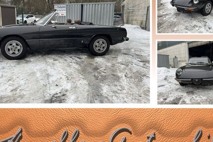 Alfa Romeo Spider 85.560 km 29.999 &euro; Hamburg 22339