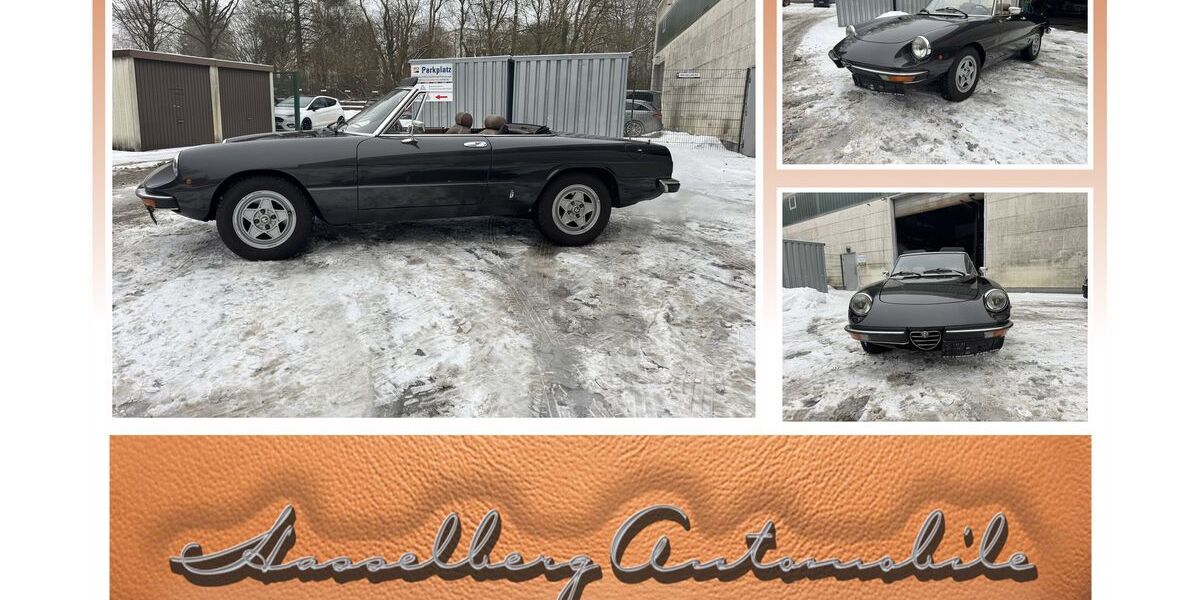 Alfa Romeo Spider 85.560 km 29.999 &euro; Hamburg 22339