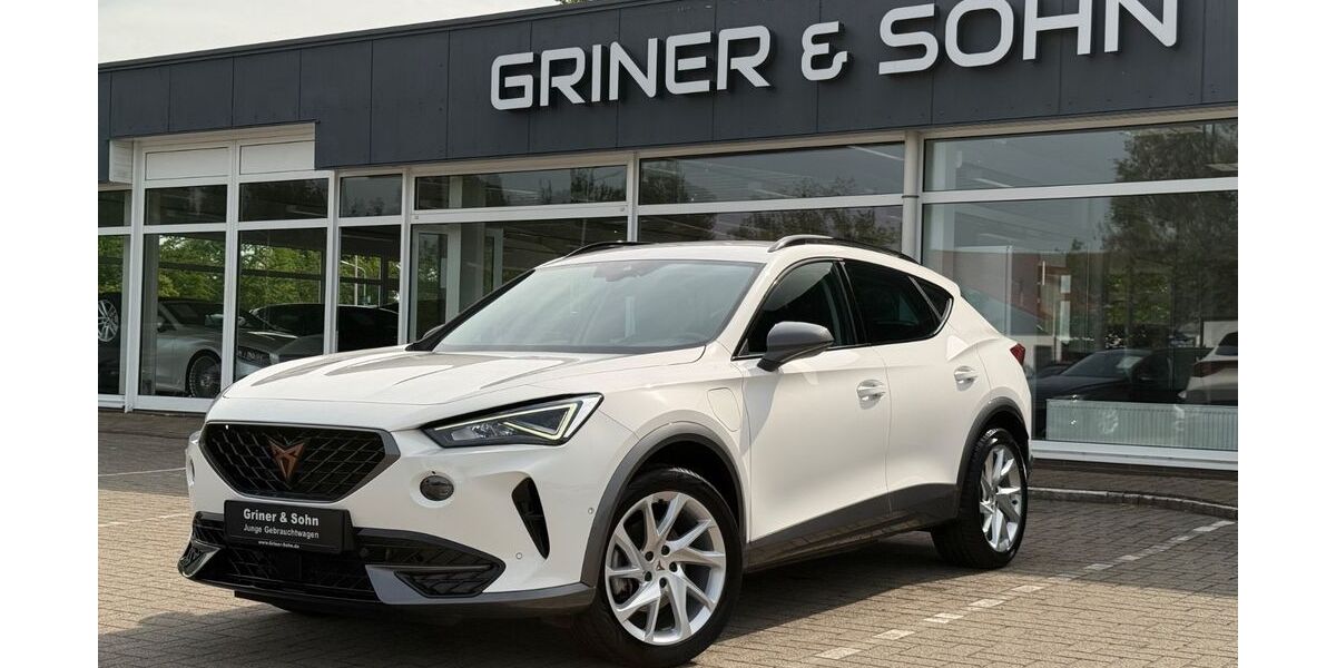 Cupra Formentor 44.195 km 21.950 &euro; Lemwerder 27809