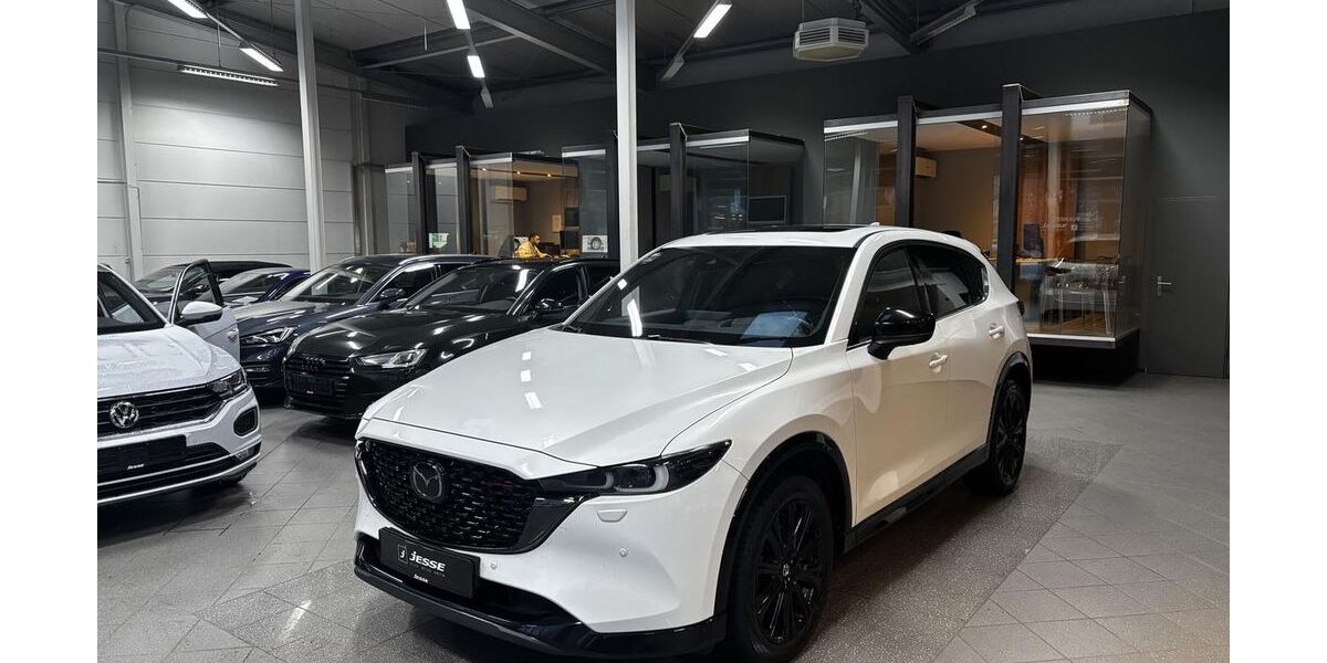 Mazda CX-5 109.800 km 26.990 &euro; Ibbenbüren 49477