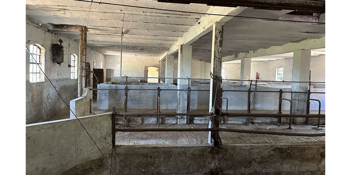 Großes Anwesen am Weser-Radweg, ideal für Pferdehaltung & Hofcafé - Gewerbeobjekt Stolzenau | Angebot:25925658