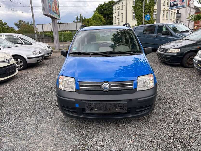 Panda