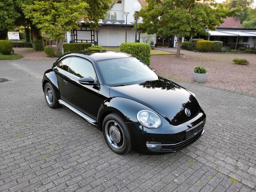 Beetle