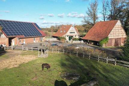 Haus Rahden Pr. Ströhen - 8 Zimmer, 335 m&sup2;, 1.488.000&euro; | Angebot:25686699