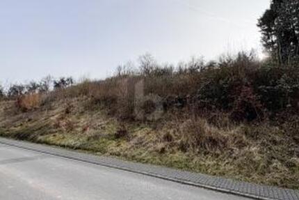 GROßE FLÄCHE MIT POTENZIAL - Grundstück Welschbillig | Angebot:25591558