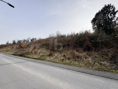 GROßE FLÄCHE MIT POTENZIAL - Grundstück Welschbillig | Angebot:25591558