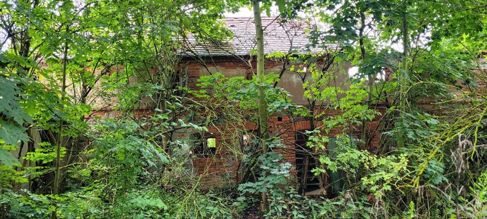 Einfamilienhaus Beilrode - 5 Zimmer, 120 m&sup2;, 19.000&euro; | Angebot:26965679