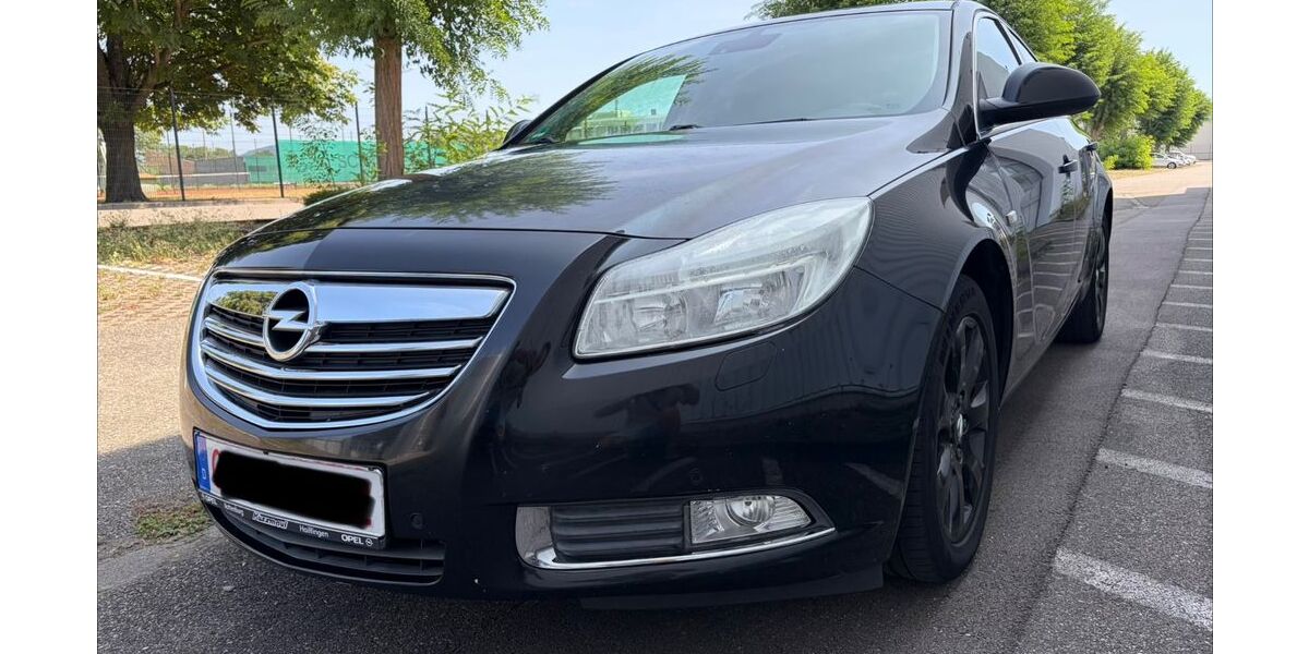 Opel Insignia 195.000 km 2.500 &euro; Lahr 77933