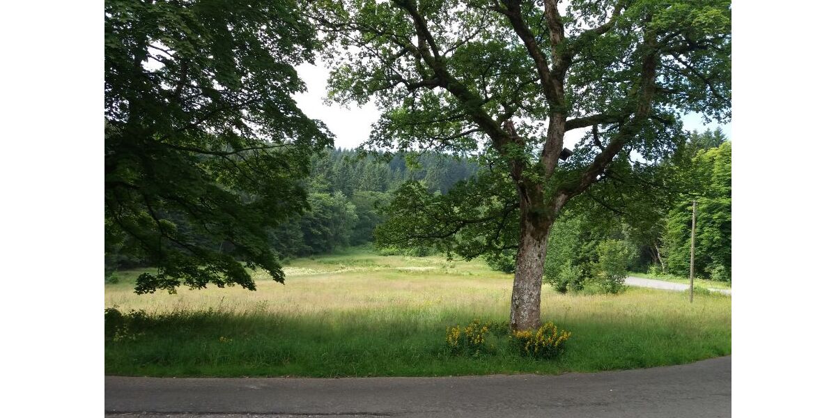 Provisionsfrei* Sonderimmobilie in Alleinlage im Thüringer Wald - Einfamilienhaus Oberhof | Angebot:26869383