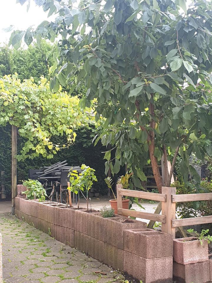 Mehrfamilienhaus Bochum Weitmer Provisinsfrei