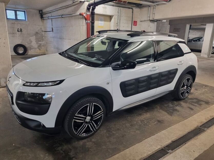 C4 Cactus