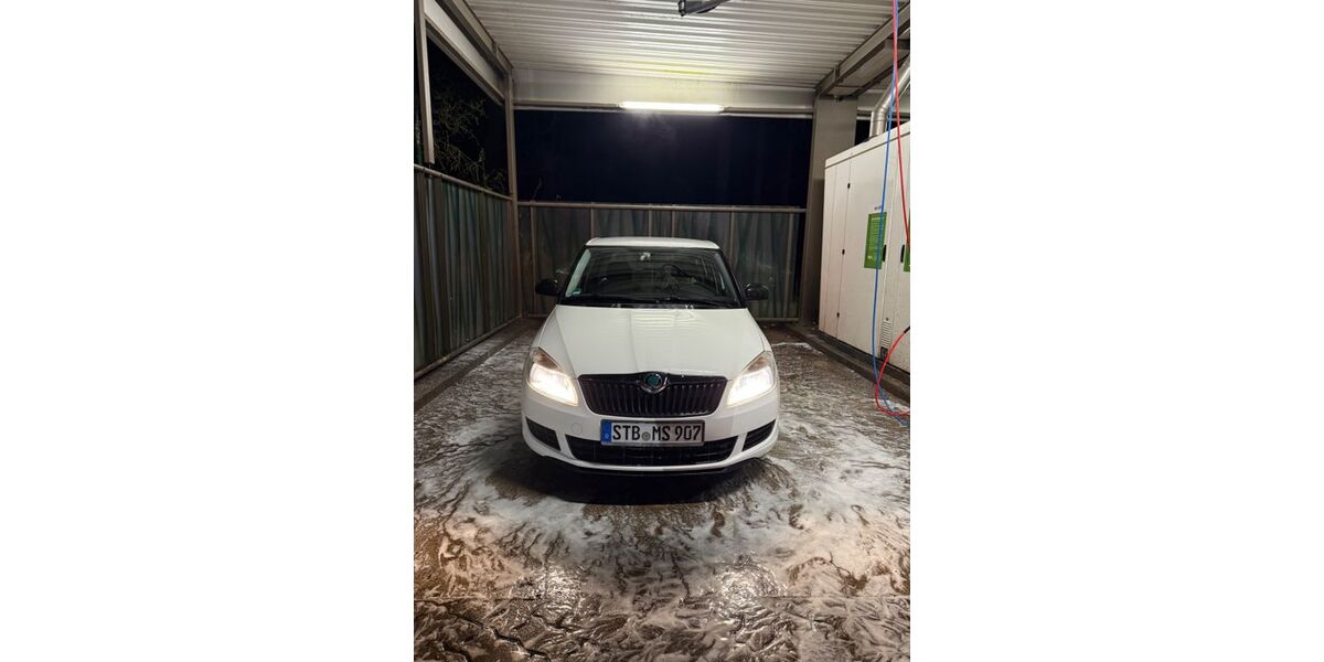 Skoda Fabia 118.443 km 4.600 &euro; Sternberg 19406