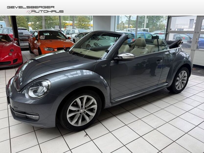Beetle