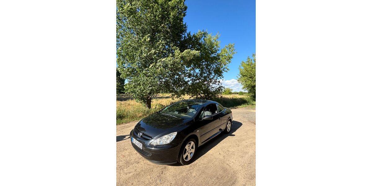 Peugeot 307 118.860 km 4.200 &euro; Berlin 10439