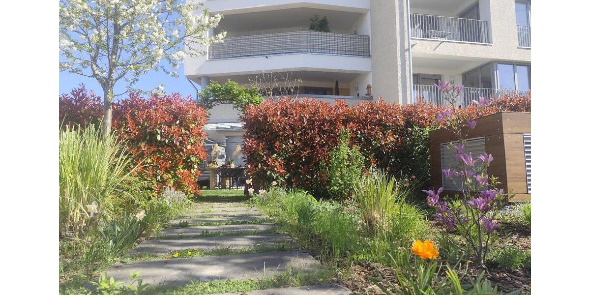 Terrassenwohnung Freiburg im Breisgau Haslach - 4 Zimmer, 113 m&sup2;, 815.000&euro; | Angebot:26253261