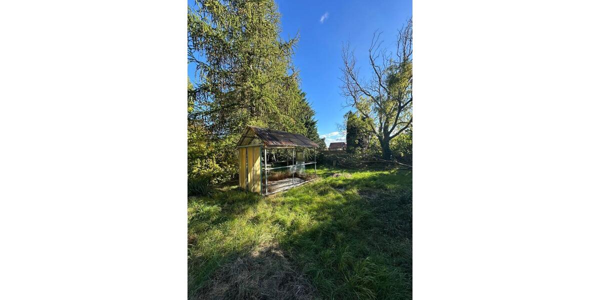 Erdgeschoßwohnung Artern - 3 Zimmer, 54 m&sup2;, 380&euro; | Angebot:25648757