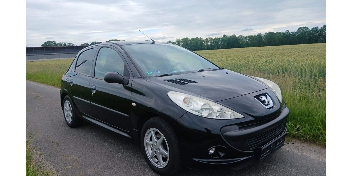 Peugeot 206 239.000 km 1.250 &euro; Merzen 49586