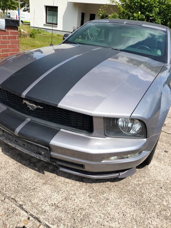 Mustang