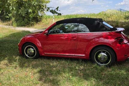 VW Beetle 75.000 km 18.790 &euro; Bühlertal 77830