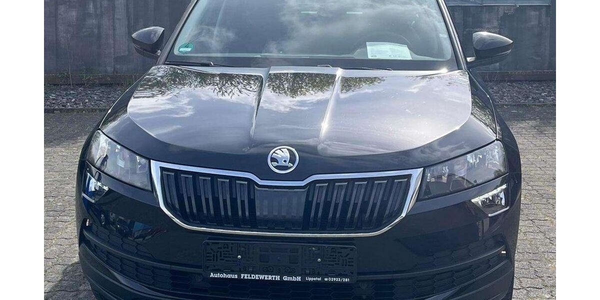Skoda Karoq 136.400 km 16.900 &euro; Lippetal-Herzfeld 59510