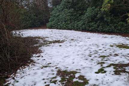 Grundstück zu verkaufen in Bremen 449.000 € 1004 m² zimmer