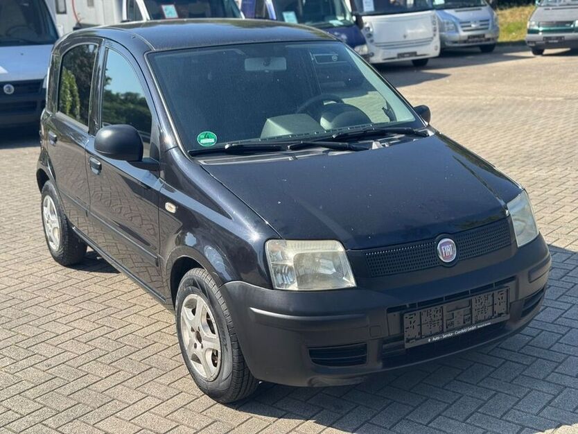 Panda