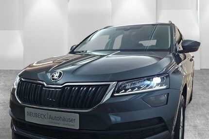 Skoda Karoq 47.651 km 25.450 &euro; Speyer 67346