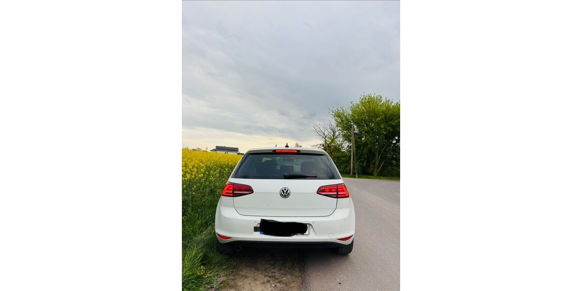 VW Golf 183.900 km 9.100 &euro; Magdeburg 39128