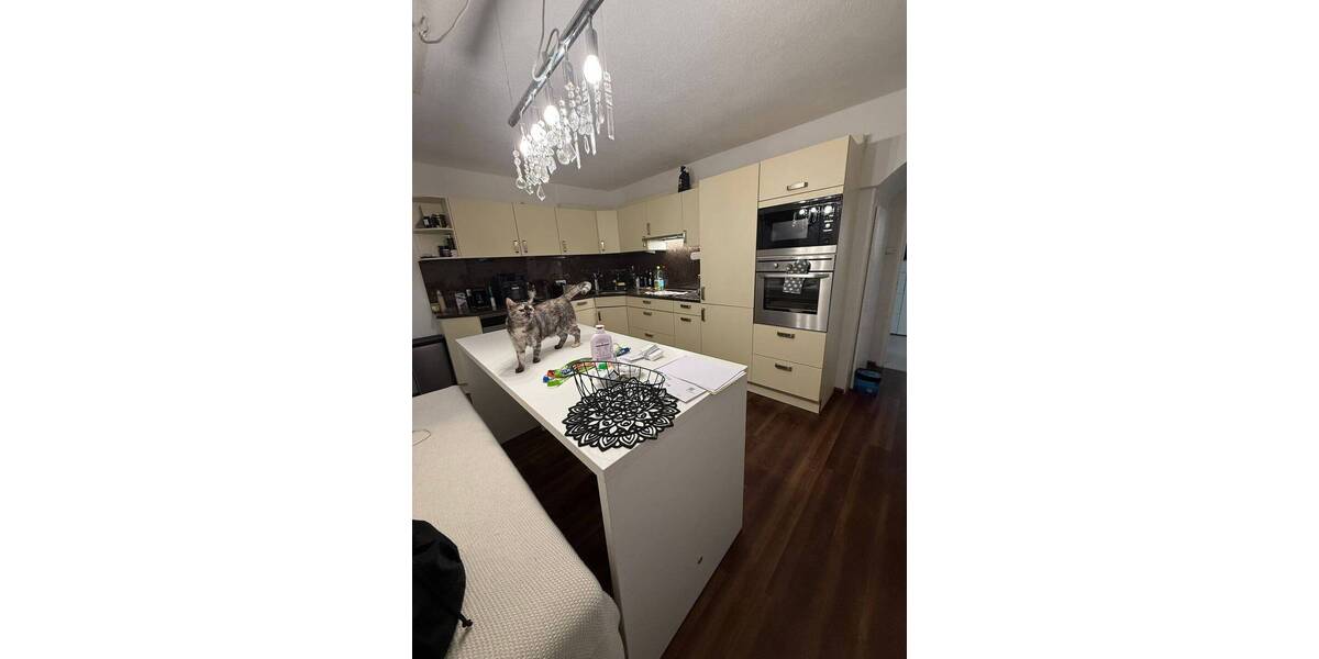 Mehrfamilienhaus, Wohnhaus Laufenburg (Baden) Laufenburg - 1 Zimmer, 432 m&sup2;, 1.150.000&euro; | Angebot:26274363