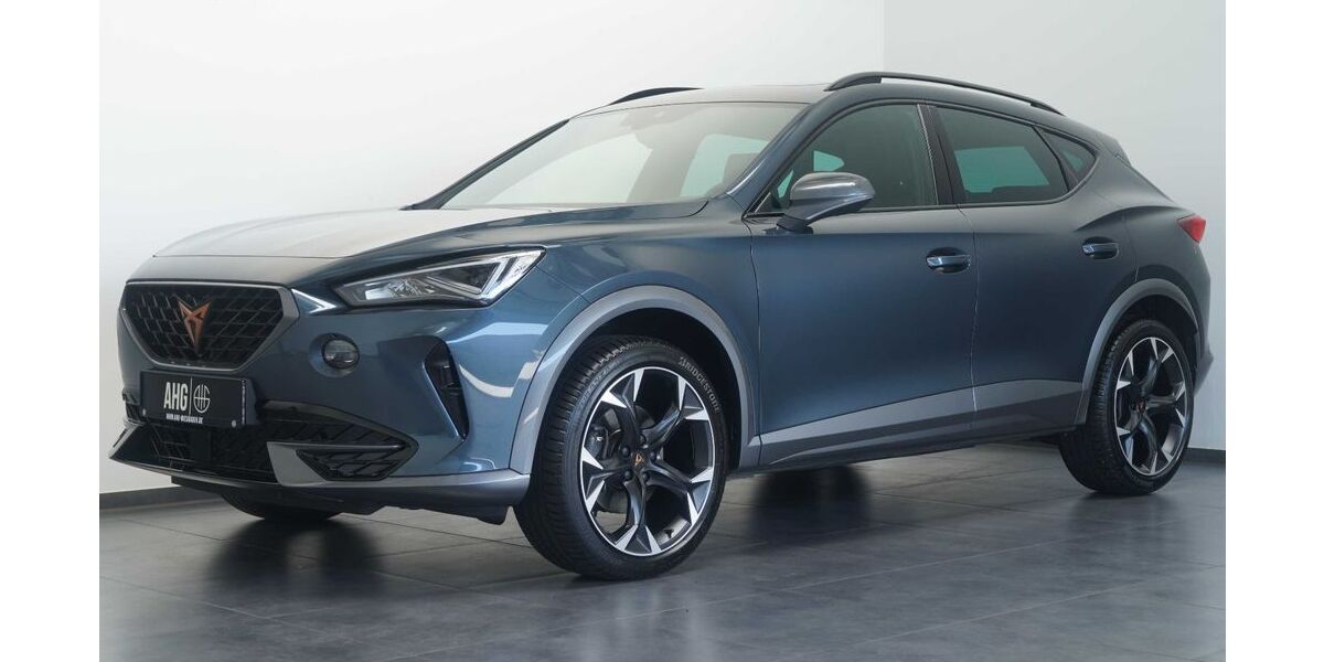 Cupra Formentor 16.952 km 26.895 &euro; Wiesbaden 65205